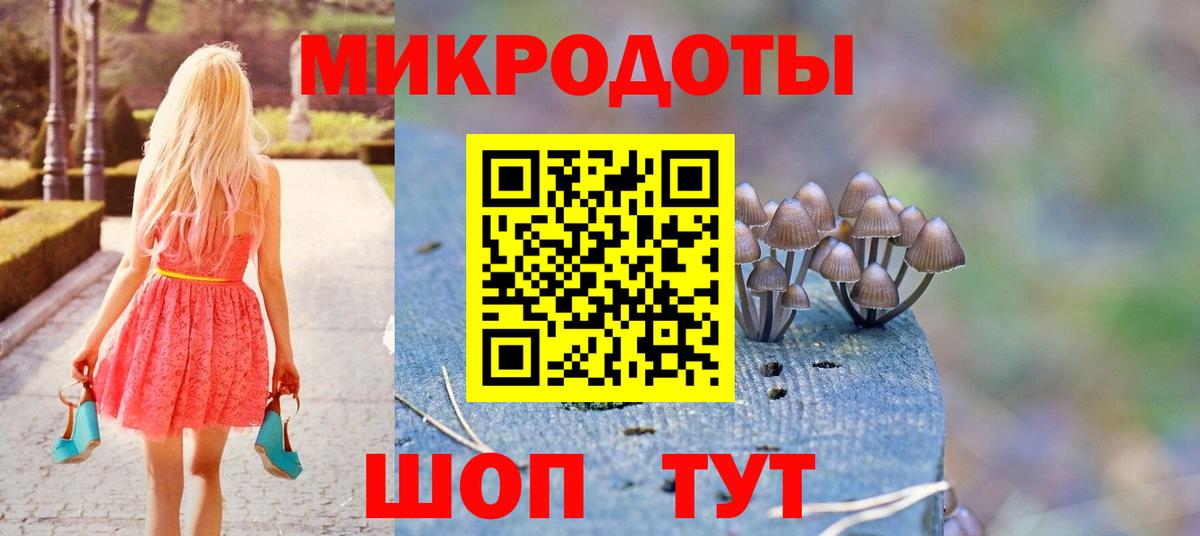 Губкинский  Псилоцибиновые грибы Magic Shrooms  наркошоп  Вход с VPN 